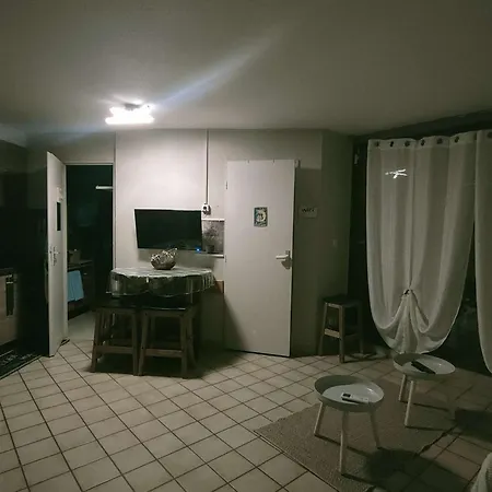 Apartment T2 Climatise Avec Wifi Au Barcares - Fr-1-195-114