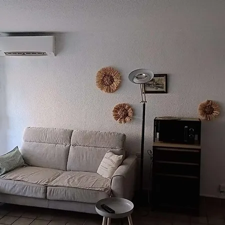 T2 Climatisé Avec Wifi Au Barcarès - Fr-1-195-114